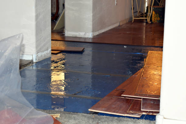 Professional Flood Cleanup technician working in Stonington, ME